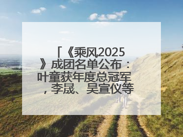 《乘风2025》成团名单公布：叶童获年度总冠军，李晟、吴宣仪等10位姐姐成功成团，陈德容获年度高光人物