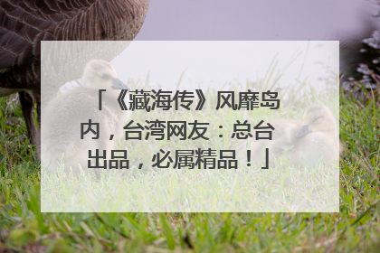 《藏海传》风靡岛内，台湾网友：总台出品，必属精品！