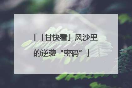 「甘快看」风沙里的逆袭“密码”