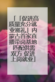 「促进高质量充分就业巡礼」内蒙古首家直播带岗基地 匹配供需双方 促进上岗就业