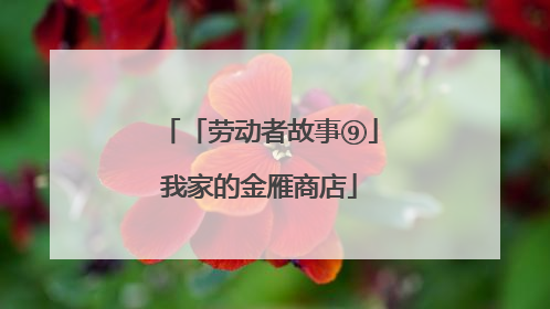 「劳动者故事⑨」我家的金雁商店
