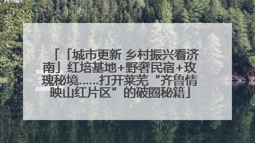 「城市更新 乡村振兴看济南」红培基地+野奢民宿+玫瑰秘境……打开莱芜“齐鲁情映山红片区”的破圈秘籍