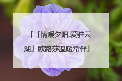 「情暖夕阳.爱驻云湖」欧路莎温暖常伴