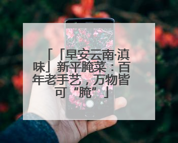 「早安云南·滇味」新平腌菜：百年老手艺，万物皆可“腌”
