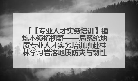 【专业人才实务培训】锤炼本领拓视野——局系统地质专业人才实务培训班赴桂林学习岩溶地质防灾与韧性城市建设前沿实践
