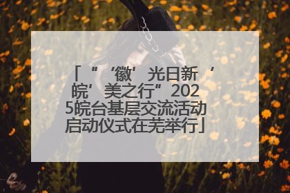 “‘徽’光日新‘皖’美之行”2025皖台基层交流活动启动仪式在芜举行