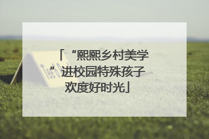 “熙熙乡村美学”进校园特殊孩子欢度好时光