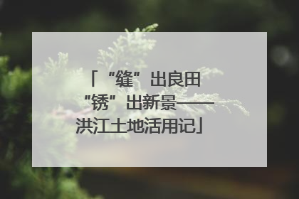 “缝”出良田 “锈”出新景——洪江土地活用记