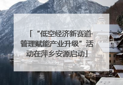 “低空经济新赛道·管理赋能产业升级”活动在萍乡安源启动