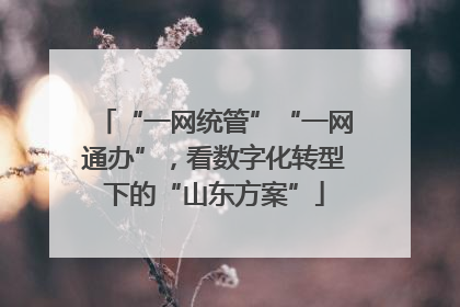 “一网统管”“一网通办”，看数字化转型下的“山东方案”