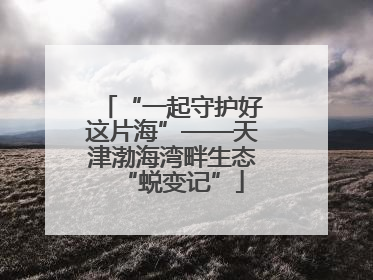 “一起守护好这片海”——天津渤海湾畔生态“蜕变记”