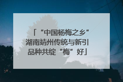 “中国杨梅之乡”湖南靖州传统与新引品种共绽“梅”好