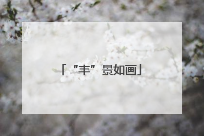 “丰”景如画