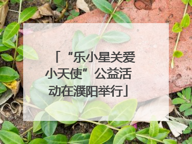 “乐小星关爱小天使”公益活动在濮阳举行