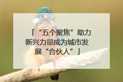 “五个聚焦”助力新兴力量成为城市发展“合伙人”
