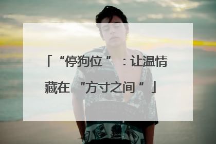 “停狗位 ”：让温情藏在 “方寸之间 ”