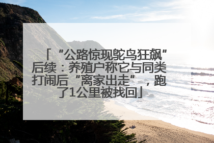 “公路惊现鸵鸟狂飙”后续：养殖户称它与同类打闹后“离家出走”，跑了1公里被找回