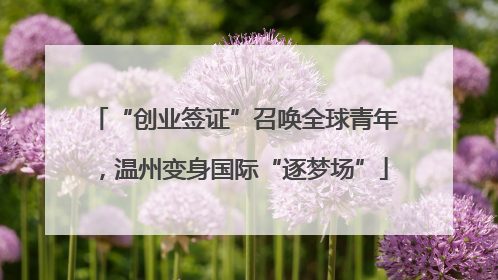 “创业签证”召唤全球青年，温州变身国际“逐梦场”