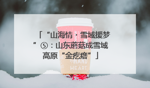 “山海情・雪域援梦”⑤：山东蘑菇成雪域高原“金疙瘩”
