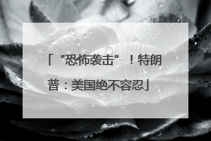 “恐怖袭击”！特朗普：美国绝不容忍