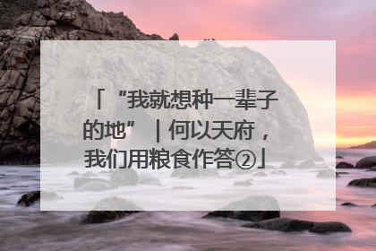 “我就想种一辈子的地”｜何以天府，我们用粮食作答②