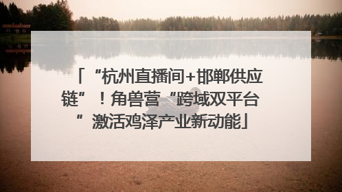“杭州直播间+邯郸供应链”！角兽营“跨域双平台”激活鸡泽产业新动能
