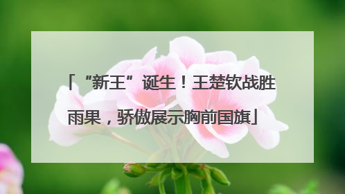 “新王”诞生！王楚钦战胜雨果，骄傲展示胸前国旗