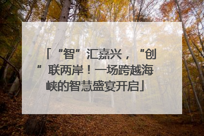 “智”汇嘉兴，“创”联两岸！一场跨越海峡的智慧盛宴开启