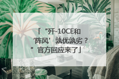 “歼-10CE和‘阵风’孰优孰劣？”官方回应来了
