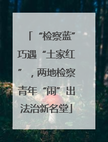 “检察蓝”巧遇“土家红”，两地检察青年“闹”出法治新名堂