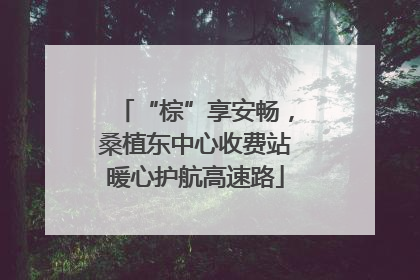 “棕”享安畅，桑植东中心收费站暖心护航高速路