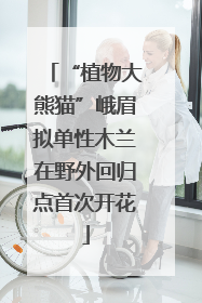 “植物大熊猫”峨眉拟单性木兰在野外回归点首次开花
