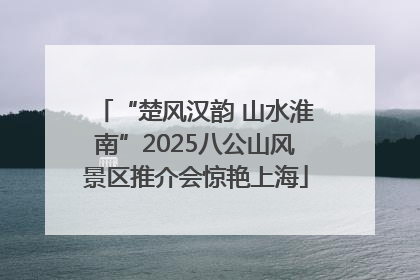 “楚风汉韵 山水淮南”2025八公山风景区推介会惊艳上海