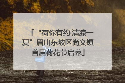 “荷你有约·清凉一夏”眉山东坡区尚义镇首届荷花节启幕