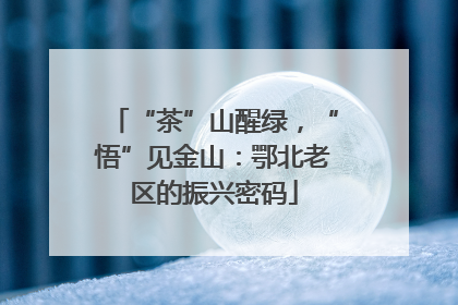 “茶”山醒绿，“悟”见金山：鄂北老区的振兴密码