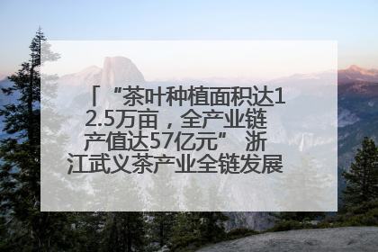 “茶叶种植面积达12.5万亩，全产业链产值达57亿元” 浙江武义茶产业全链发展“加速度”