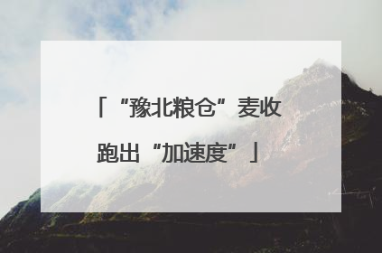 “豫北粮仓”麦收跑出“加速度”
