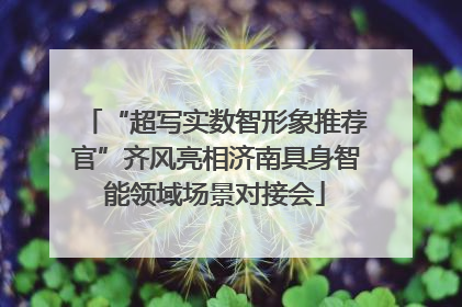 “超写实数智形象推荐官”齐风亮相济南具身智能领域场景对接会