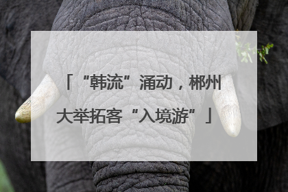 “韩流”涌动，郴州大举拓客“入境游”