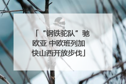 “钢铁驼队”驰欧亚 中欧班列加快山西开放步伐
