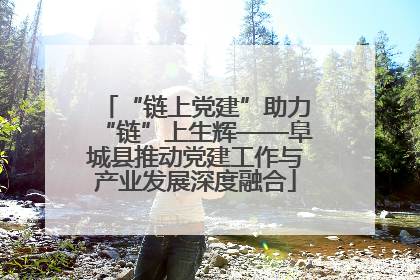 “链上党建”助力“链”上生辉——阜城县推动党建工作与产业发展深度融合