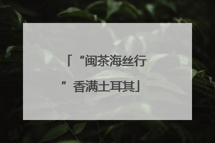 “闽茶海丝行”香满土耳其