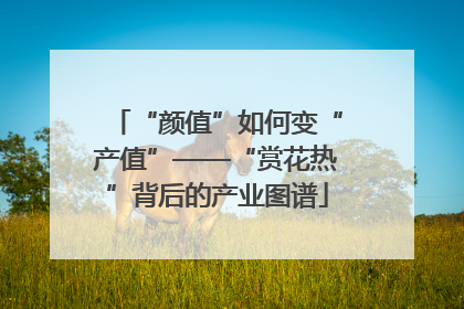 “颜值”如何变“产值”——“赏花热”背后的产业图谱
