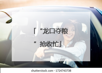 “龙口夺粮”抢收忙
