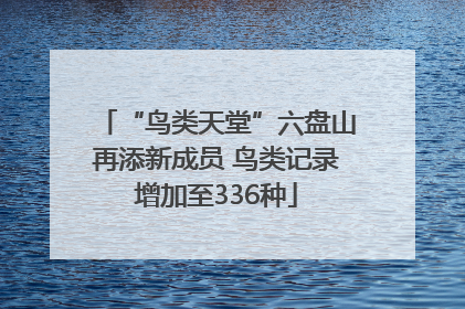 “鸟类天堂”六盘山再添新成员 鸟类记录增加至336种
