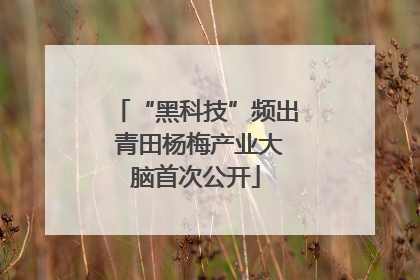 “黑科技”频出 青田杨梅产业大脑首次公开