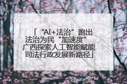 “AI+法治”跑出法治为民“加速度” 广西探索人工智能赋能司法行政发展新路径