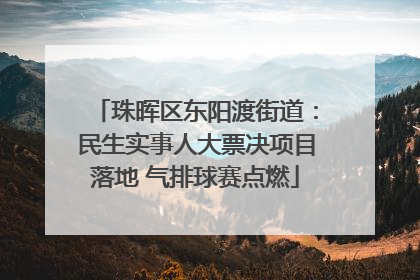 珠晖区东阳渡街道：民生实事人大票决项目落地 气排球赛点燃