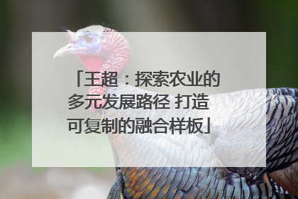 王超：探索农业的多元发展路径 打造可复制的融合样板
