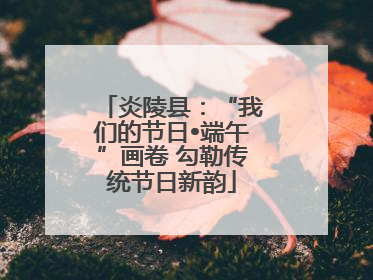 炎陵县：“我们的节日•端午”画卷 勾勒传统节日新韵
